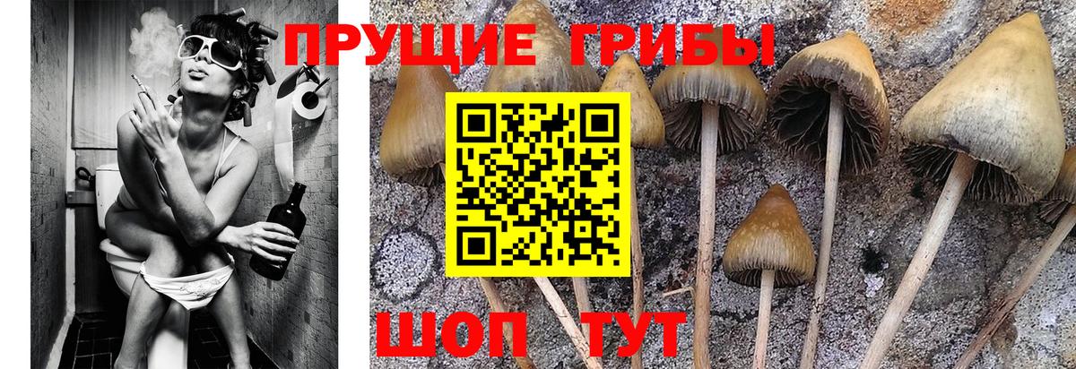 Галлюциногенные грибы Magic Shrooms Ленинск-Кузнецкий