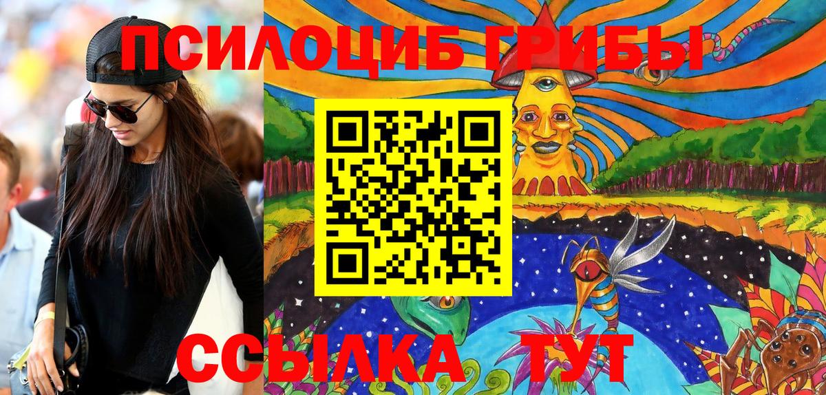 Псилоцибиновые грибы мухоморы  Псилоцибиновые грибы Psilocybe  Ленинск-Кузнецкий  Вход с VPN 